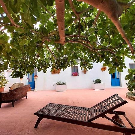 Trulli Pasquina Apartman Martina Franca Kültér fotó